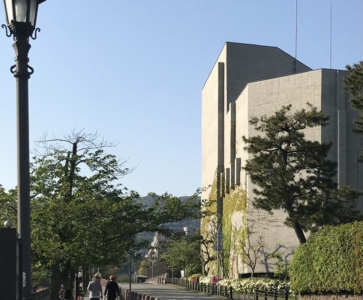 image_6487327 (28)